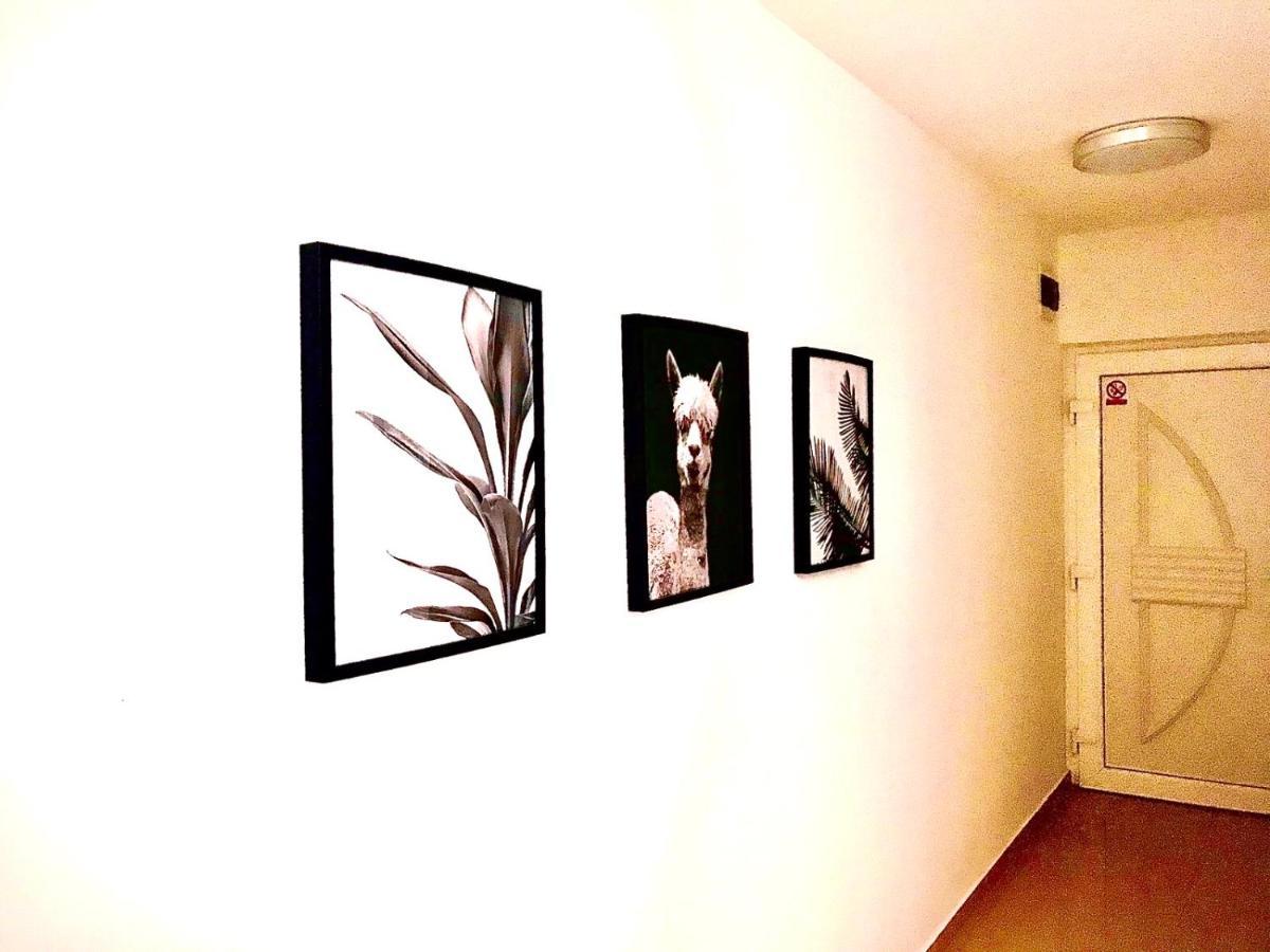 Vila Palit 497 D Apartment E ภายนอก รูปภาพ